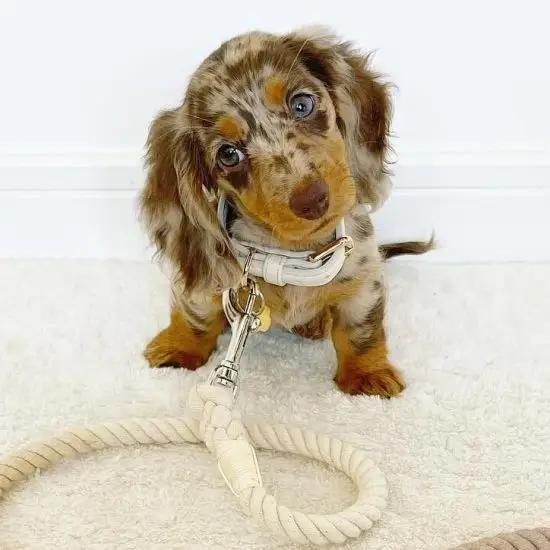 WhatsApp Image 2025-05-10 at 08.47.24 (10)