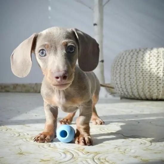 WhatsApp Image 2025-05-10 at 08.47.24 (5)